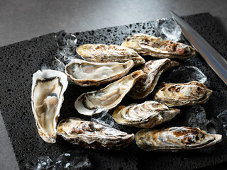 Half shell oysters on plate