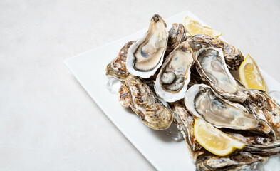 Half shell oysters on plate