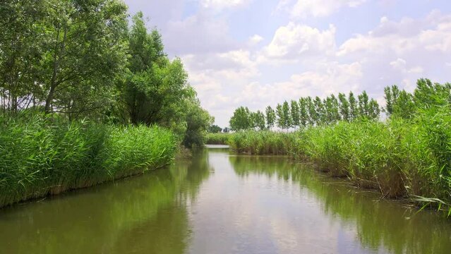 Drone flies above narrow pond surrounded with reed in cloudy day