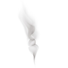 realistic transparent smoke or steam in white and gray colors, for use on light background. Transparency only in vector format