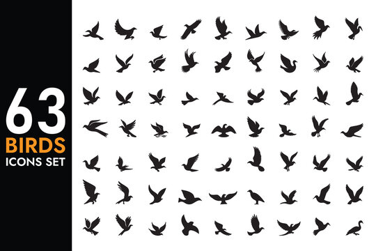 63 Popular Vector Birds Icons Set