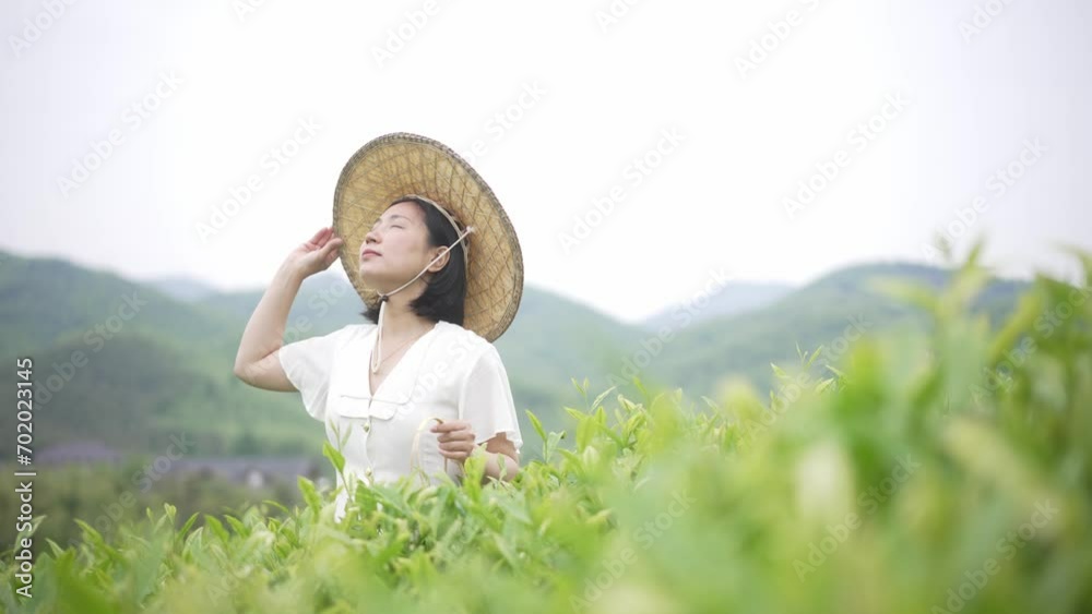 Canvas Prints woman in green tea plantation