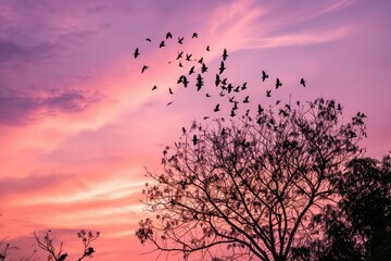 A magical moment captured as a flock of birds create a heart shape in the sky, their silhouettes set against a pastel twilight, symbolizing collective love on Valentine's Day. - obrazy, fototapety, plakaty