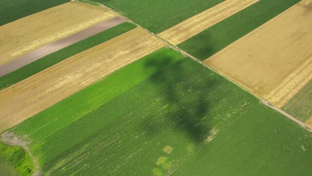 Endless plain agricultural lands creating patchwork viewed from above