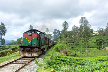 Fototapeta na wymiar The train travels through highland tea plantations on the island of Sri Lanka.