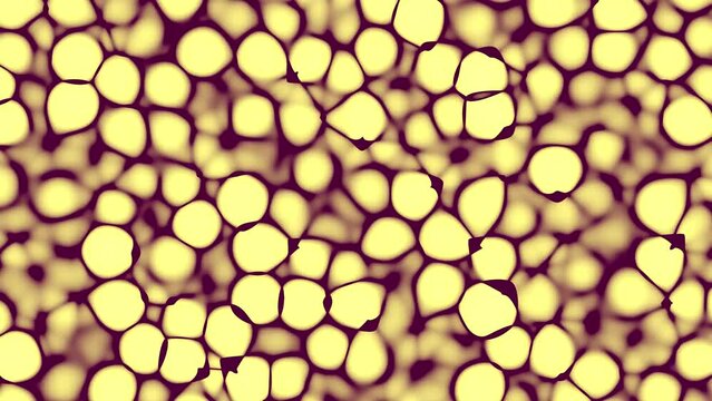 Animation of yellow cells under the microscope