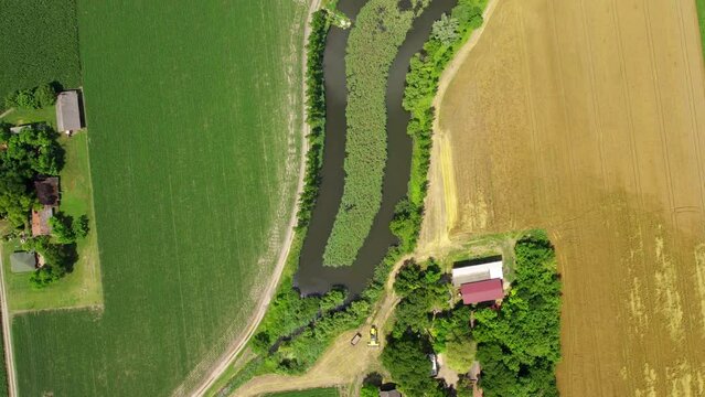 Lake in the middle of agricultural fields with reedbed in middle from above
