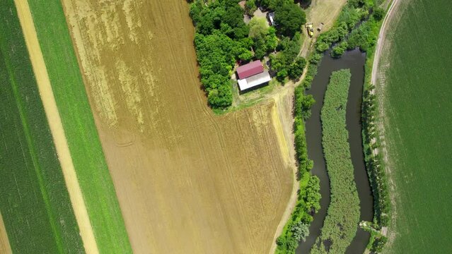 Aerial view of cultivated fields, a pond surrounded with reed and small houses