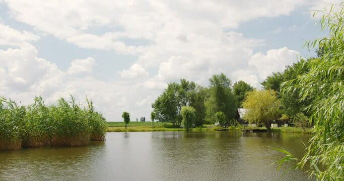 Wide angle footage of a cottage hidden behind trees and cars parked on the shore of a pond