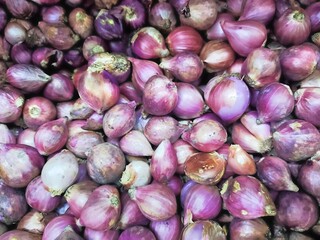 shallots, garlic, cooking spices throughout the ages