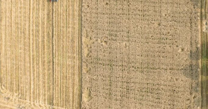 time lapse of combine working in field