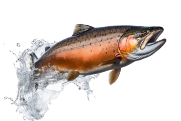 Fotobehang Jumping salmon Isolated on transparent background. PNG file. © venusvi