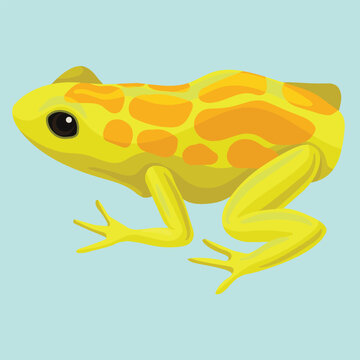 Yellow Spotted Frog Reptile Animal Vector Illustration
