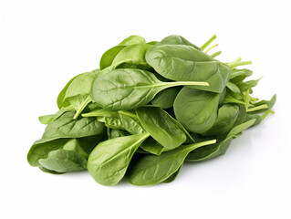 fresh spinach bundle isolated on white background
