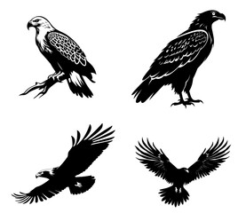 Adler