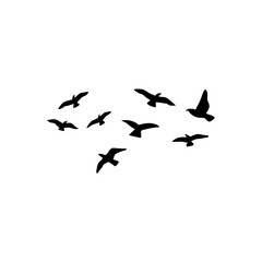 Flock of flying birds silhouette 