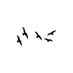 Flock of flying birds silhouette 