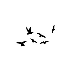 Flock of flying birds silhouette 