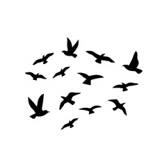 Flock of flying birds silhouette 