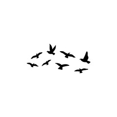 Flock of flying birds silhouette 