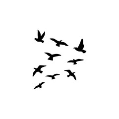 Flock of flying birds silhouette 