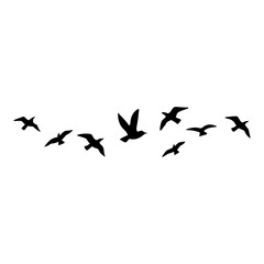 Fototapeta premium Flock of flying birds silhouette 