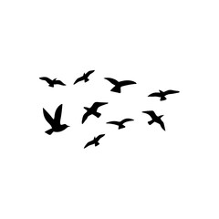 Flock of flying birds silhouette 