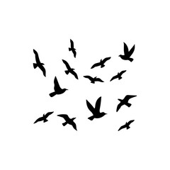 Flock of flying birds silhouette 