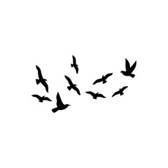 Flock of flying birds silhouette 