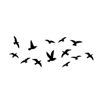 Flock of flying birds silhouette 