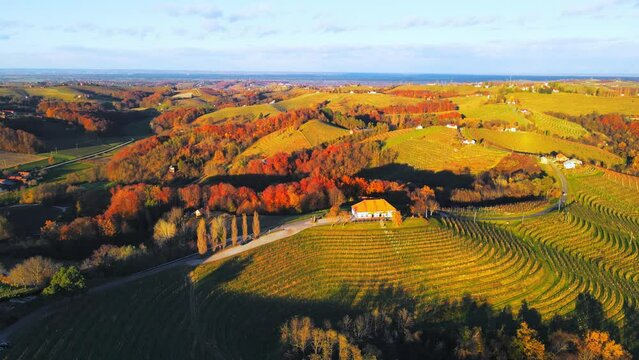 Stunning Aerial 4K drone footage of vineyard cottage Malek - Jeruzalem, Slovenia filmed in the golden hour sunset - Fall, Autumn.