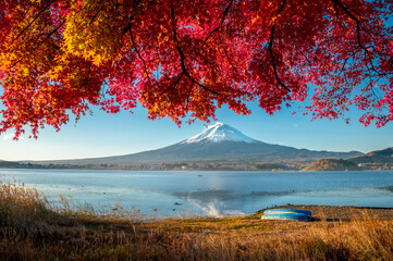 Landscape of lake kawaguchiko during autumn season with maple red leaves and mountain fuji background
