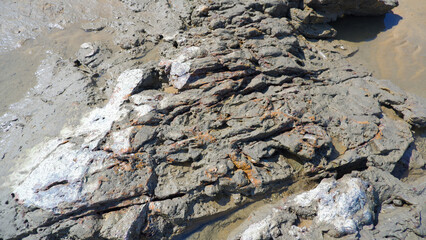 Natural View Of Coastal Rocks With Textured Lines Due To Seawater Erosion At Tanjung Kalian, Indonesia