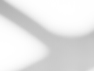 Shadow Background Effect Mockup Frame Abstract Technology Business Black Grey Shade Design blur Cement Wall Floor Minimal Empty Backdrop Overlay Light Nature Leaves Window White Template Summer.