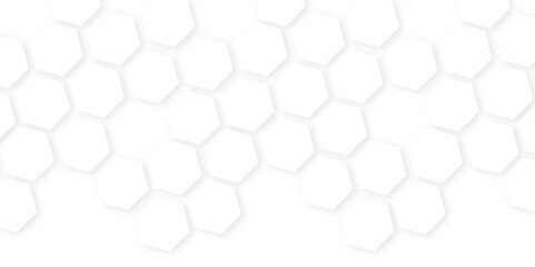 Background with white and black lines 3d Hexagonal structure futuristic white background and Embossed Hexagon , technology mosaic white background. geometric mesh cell texture.