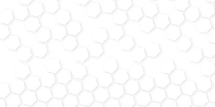 Background with white and black lines 3d Hexagonal structure futuristic white background and Embossed Hexagon , technology mosaic white background. geometric mesh cell texture.