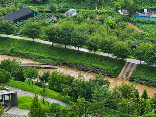 비오는 날의 개천