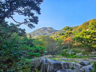서울의 산