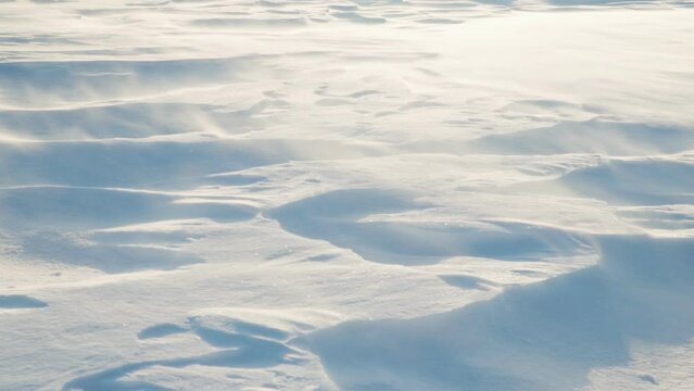The wind is driving snow across the snow cover. Close-up of flying snow on a snow-covered surface.