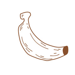 Banana Illustration 