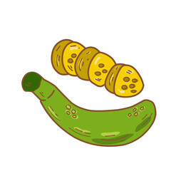 Banana Illustration 