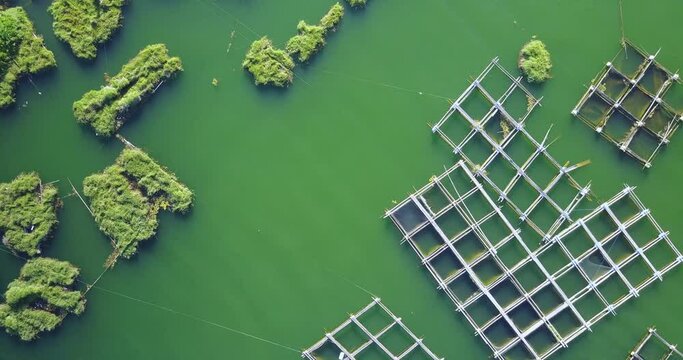 Aerial View of fish and shrimp farms in Lake Kintamani near Mount Batur in Bali, Indonesia. 
