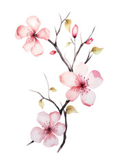Fototapeta na wymiar Cherry blossom invitation card design template. Watercolor cherry blossom invitation
