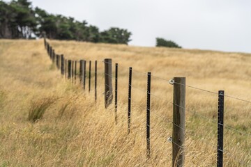 electric wire fence on a wooden pine post fence post on a farm in australia in summer