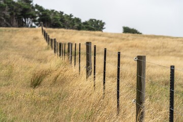 electric wire fence on a wooden pine post fence post on a farm in australia in summer - obrazy, fototapety, plakaty