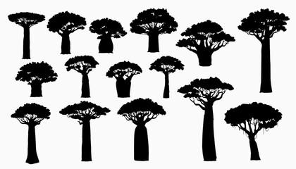 African baobab tree silhouettes. African continent and Madagascar island nature symbol, savannah flora. Tall and high Baobab trees with thick and thin trunks, covered lianas isolated vector silhouette - obrazy, fototapety, plakaty