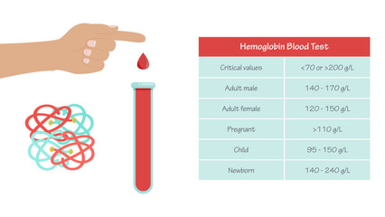 Hemoglobin Hgb Hb Blood Test medical vector illustration infographic - obrazy, fototapety, plakaty