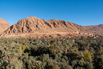Lifestyle in Morocco