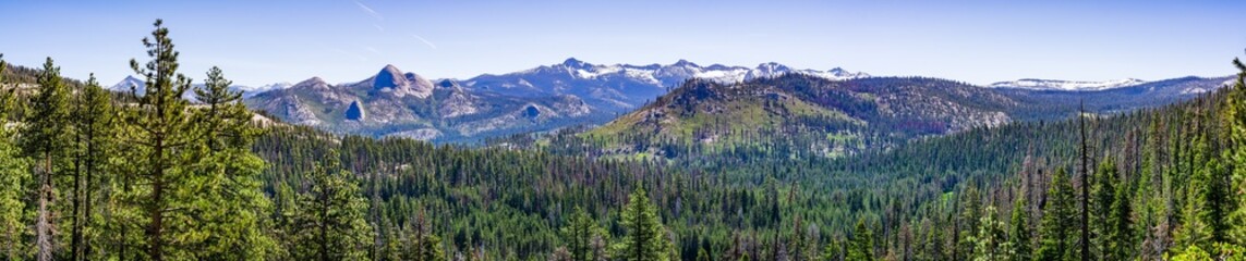 Panoramic view of wilderness areas in Yosemite National Park with evergreen forests covering valleys and snow capped mountains visible in the background; Sierra Nevada mountains, California - obrazy, fototapety, plakaty