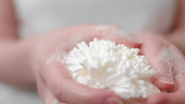 Soapy Bath Sponge In A Female Hands. Close-up Shot